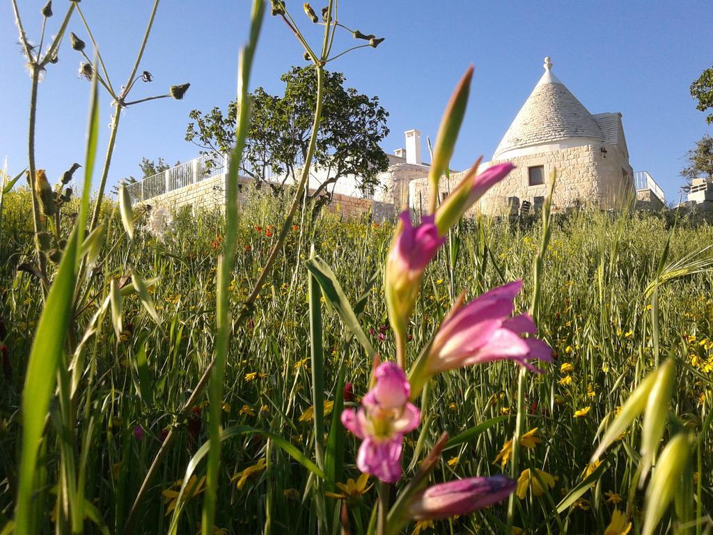 Vila Cappelluzzo Cisternino Exteriér fotografie